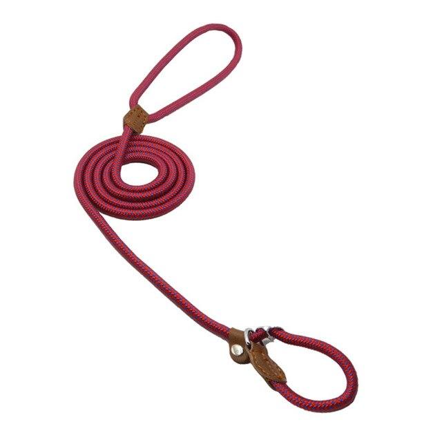 Nylon Dog Collar and Lead Set | Adjustable | Double Stitched | 4 Sizes
