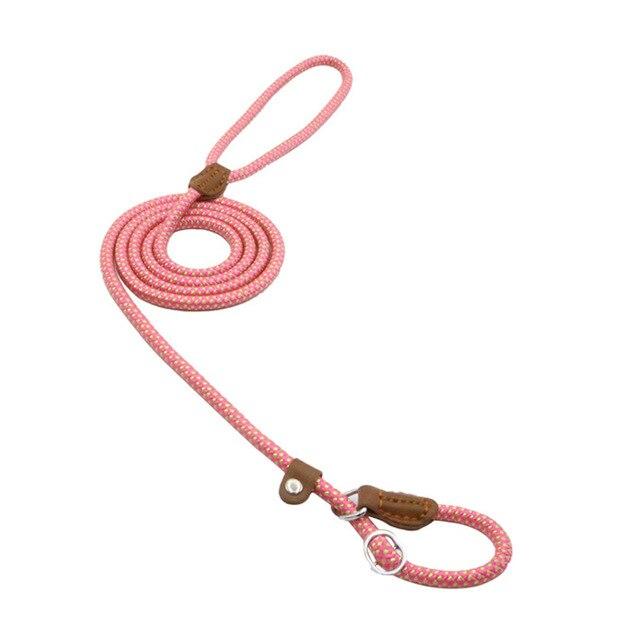 Nylon Dog Collar and Lead Set | Adjustable | Double Stitched | 4 Sizes