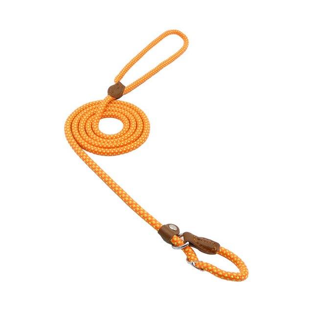Nylon Dog Collar and Lead Set | Adjustable | Double Stitched | 4 Sizes