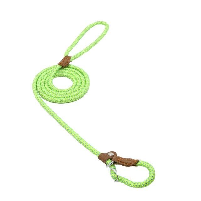Nylon Dog Collar and Lead Set | Adjustable | Double Stitched | 4 Sizes