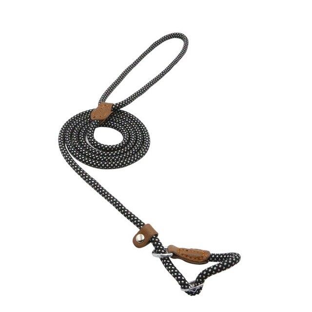 Nylon Dog Collar and Lead Set | Adjustable | Double Stitched | 4 Sizes