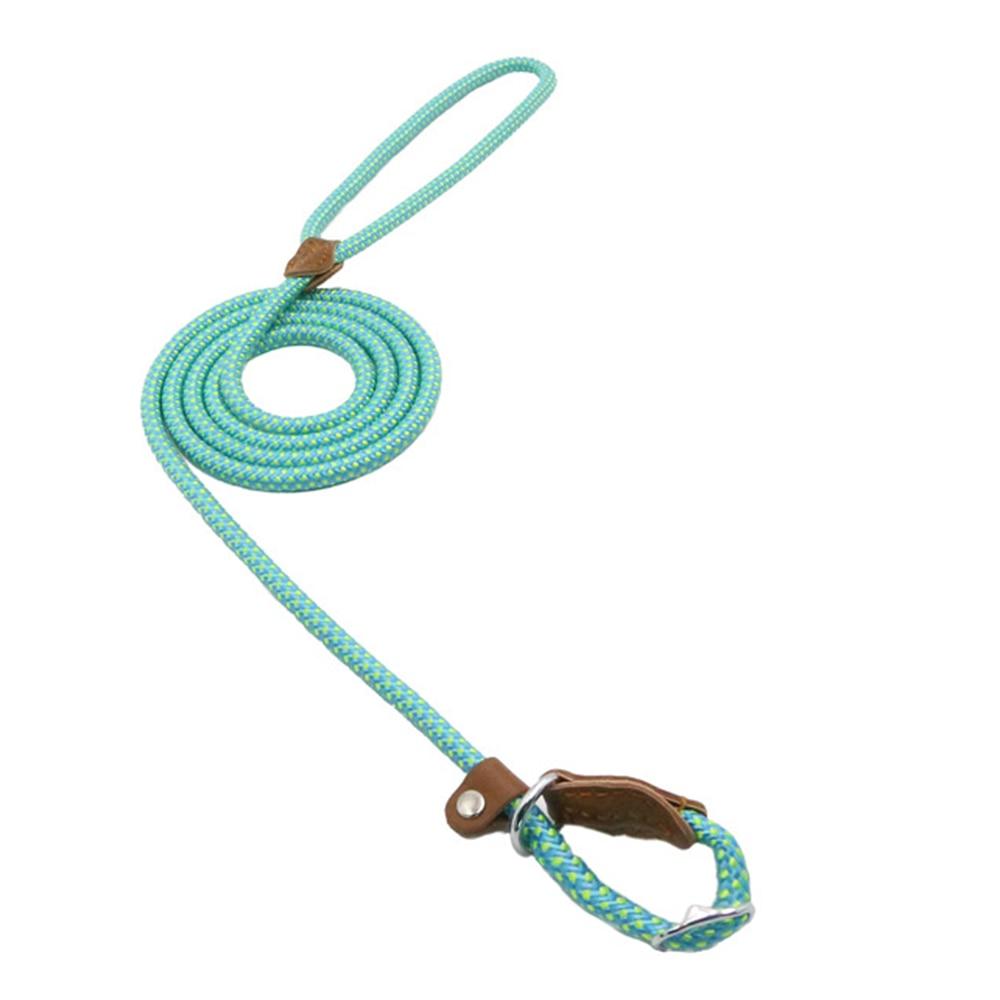 Nylon Dog Collar and Lead Set | Adjustable | Double Stitched | 4 Sizes