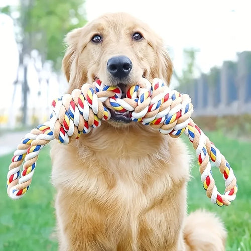 Pet Bite Rope Chew Toy | Cotton Knot | Teeth Cleaner | 60cm