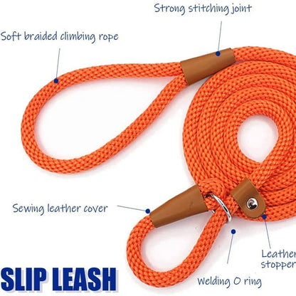 Nylon Dog Collar and Lead Set | Adjustable | Double Stitched | 4 Sizes