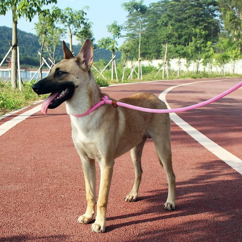 Nylon Dog Collar and Lead Set | Adjustable | Double Stitched | 4 Sizes