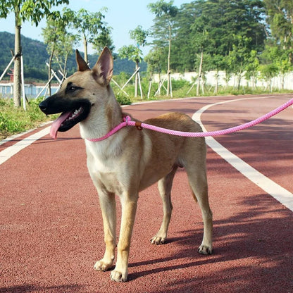 Nylon Dog Collar and Lead Set | Adjustable | Double Stitched | 4 Sizes