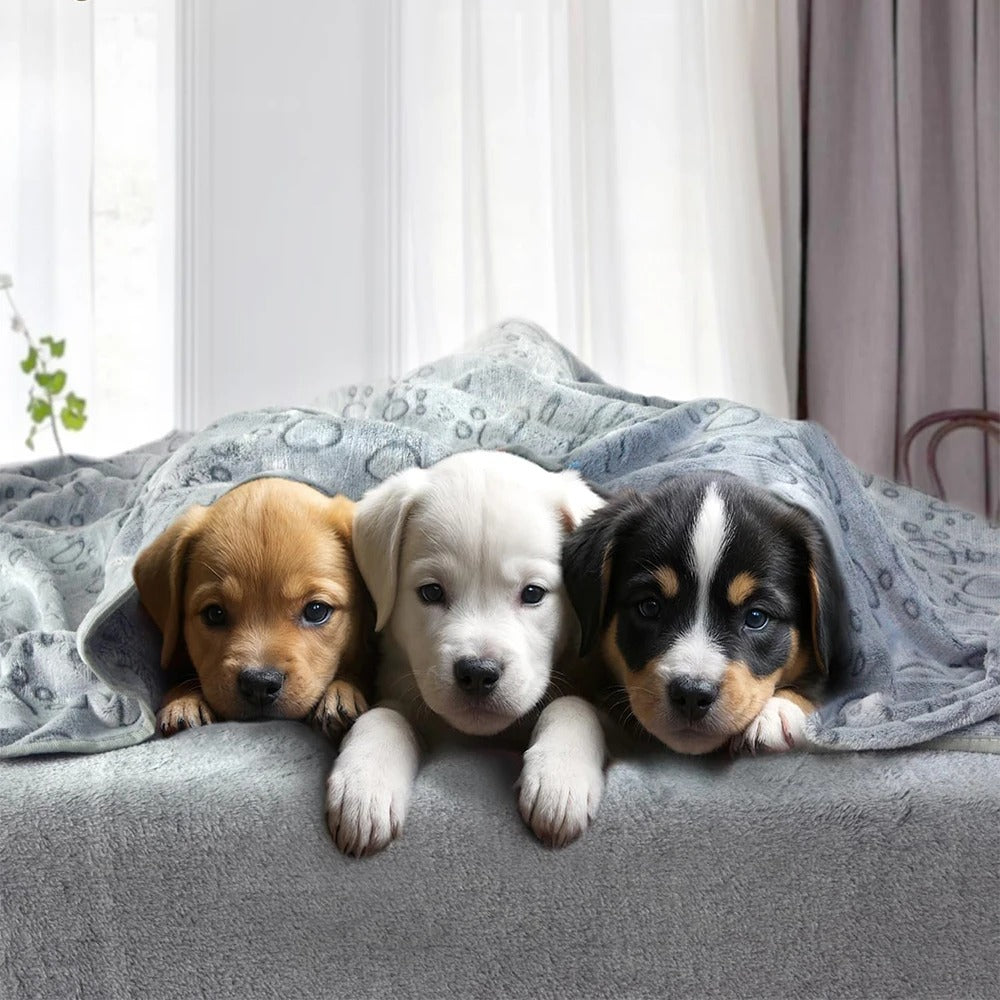 Soft Paw Print Pet Blanket | Fleece | Machine Washable | 5 Sizes
