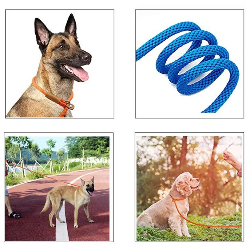 Nylon Dog Collar and Lead Set | Adjustable | Double Stitched | 4 Sizes