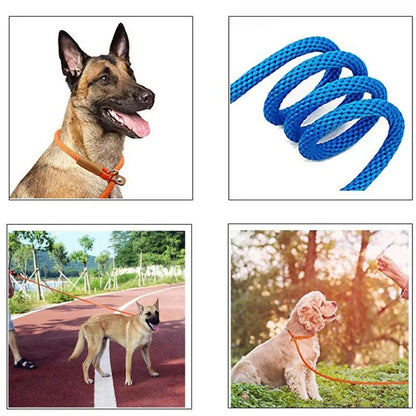 Nylon Dog Collar and Lead Set | Adjustable | Double Stitched | 4 Sizes